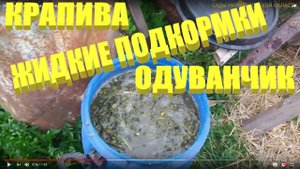 Жидкие подкормки.Жидкие подкормки из крапивы