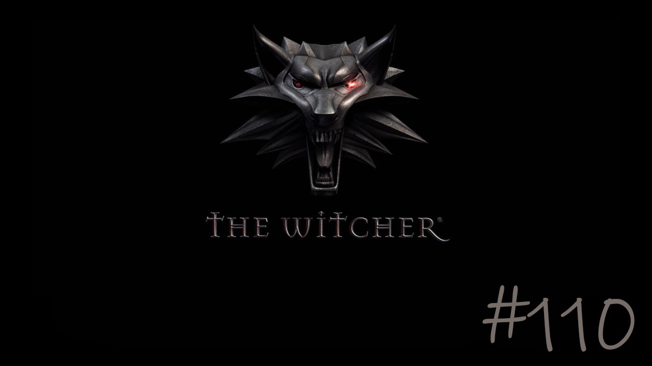 The Witcher #110