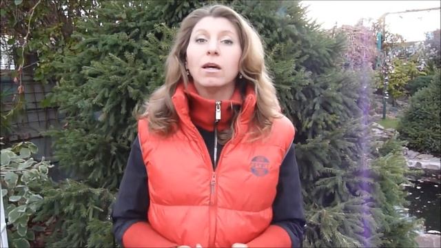 Сад после заморозка. 10 октября. 1 часть смотреть онлайн