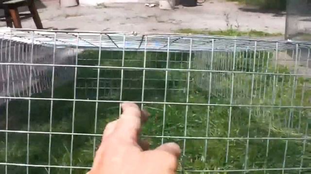 № 14 Клетка для перепелов за 45 минут. Cell for quail own hands.