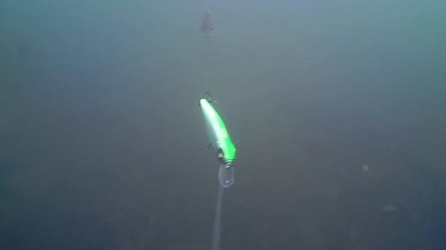 ТАКОЕ РЕДКО УВИДИШЬ! Рыбалка на спиннинг! Подводная съемка смотреть онлайн