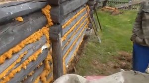 Меняем нижние венцы деревенского дома.. Часть 2.