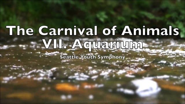 The Carnival of Animals VII Aquarium   Camille Saint-Saëns 2 Hour Loop Le carnaval des animaux