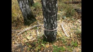 Огненный тест буксировочных тросов