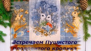 Встречаем КРОЛИКА. Ткань РОГОЖКА и мои рукодельные работы Портрет Кролика и подушка