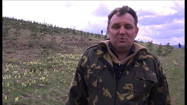 День Земли смотреть онлайн