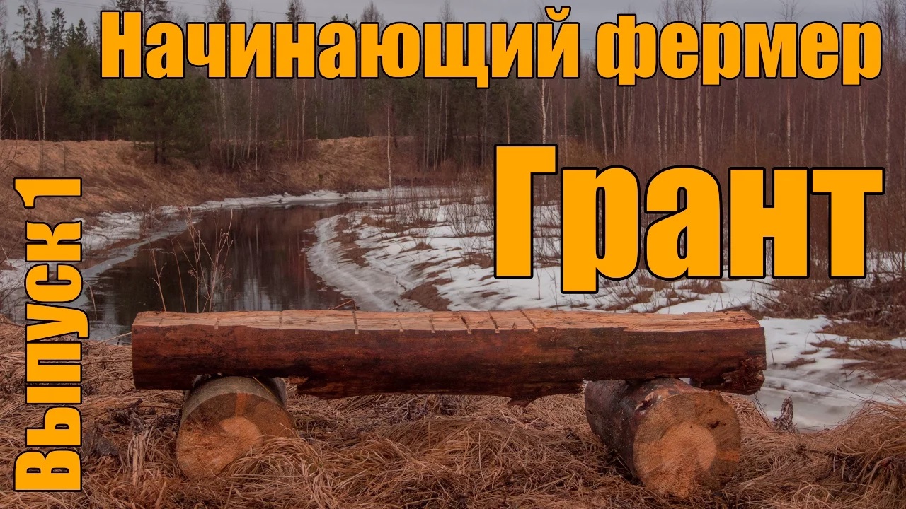Начинающий фермер. Грант.
