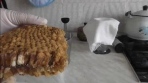 трутневое молочко применение