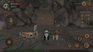 КАК ПОБЕДИТЬ ВСЕХ БОССОВ в CatSim КОШКА стала сильнее