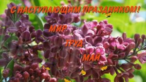 Праздник Весны и Труда Поздравление с 1 Мая