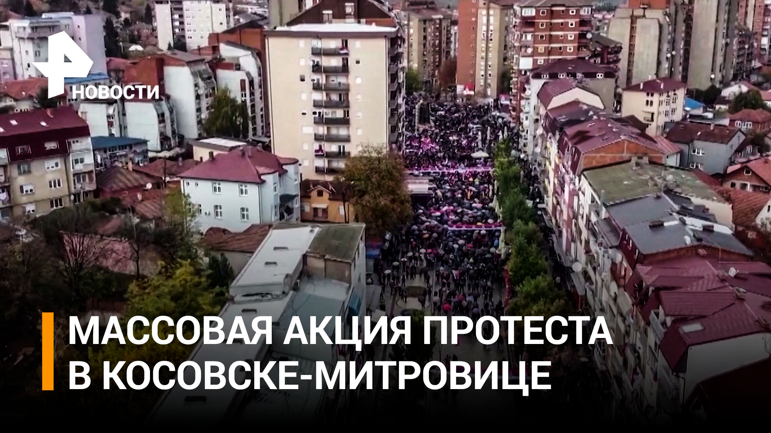 Люди выступили против введения запрета на сербские автономера / РЕН Новости