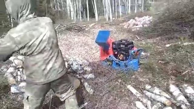 Измельчитель-Череповец