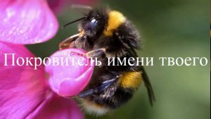 С Днем Рождения, Вика!