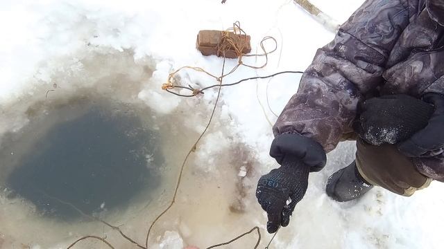 р. Обь. Проверка перемёта на налима...+ смотреть онлайн