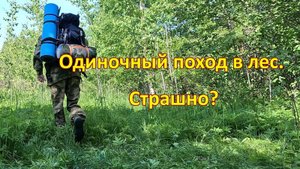 Одиночный поход в лес. Страшно?