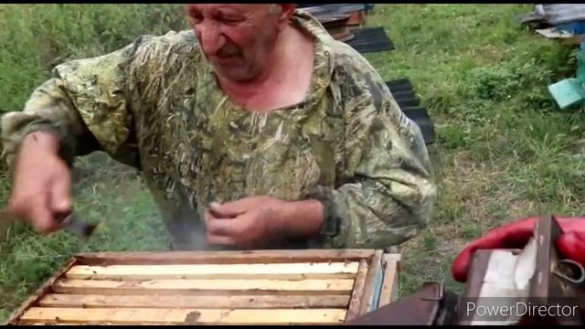 Մի Կաթիլ Մեղրի Պատմություն Сбор Мёда Советы Опытного Пчеловода Շամշադինի Համը Шамшадин смотреть онлайн