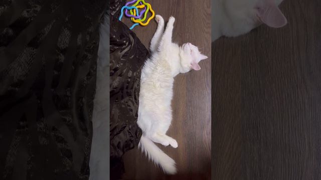 Похер ФМ