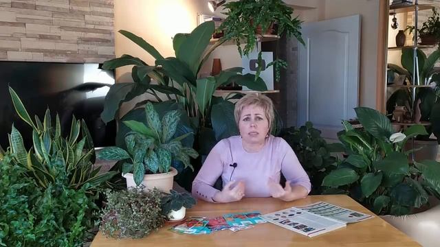 СРОКИ ПОСАДКИ ОВОЩЕЙ НА РАССАДУ Производим правильные расчеты