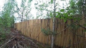 ИЗБАВЛЯЮСЬ ОТ МУРАВЬЕВ НА УЧАСТКЕ БОЛЬШОЙ МУРАВЕЙНИК