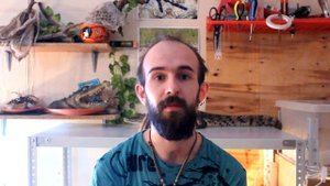 ПТИЧКА ТАРИ И КРОКОДИЛ! МИФ ИЛИ РЕАЛЬНОСТЬ?! Давайте проверим!