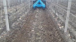 Глубокое рыхление междурядий виноградников (deep ripping vineyards paraplow)