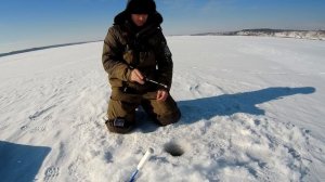 РЫБАЛКА В ВОРОНЕЖСКОЙ ОБЛАСТИ!!! (Зимняя рыбалка 2021)