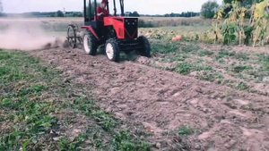 Копаем картошку польской копалкой на Мини тракторе из мотоблока Беларус 222