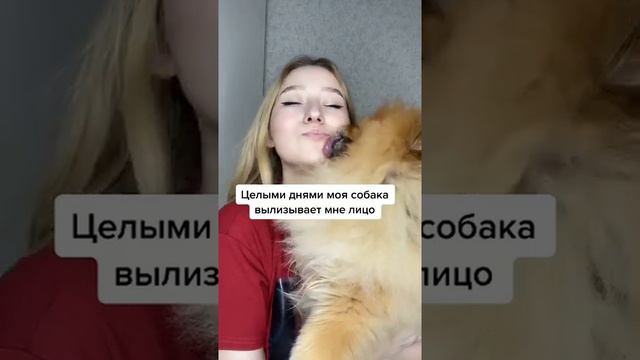 Тоби—настоящая причина, почему у меня прыщи на лице😱😓