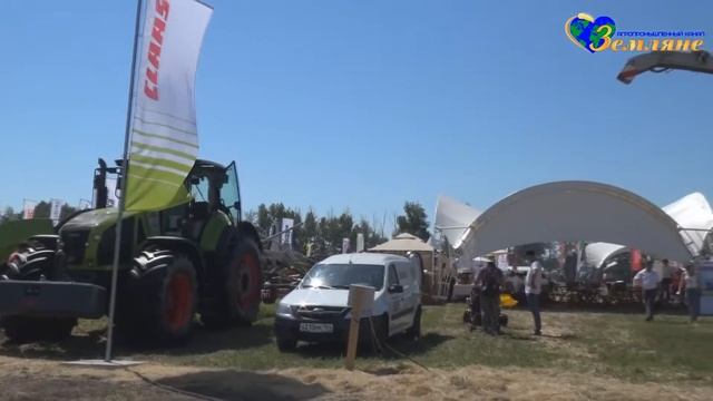 ПРАЗДНИК ЖИЗНИ – День Воронежского Поля – ВИДЕОЗАРИСОВКА смотреть онлайн