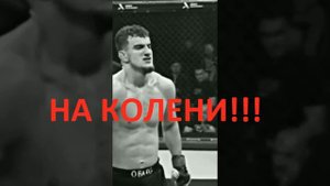 ШОВХАЛ ЧУРЧАЕВ ПОЧЕМУ ОЗВЕРЕЛ И ТВОРИТ БЕСПРЕДЕЛ УГРОЖАЕТ СТВОЛОМ ЧТО ТЕПЕРЬ БУДЕТ С ПОП ММА?