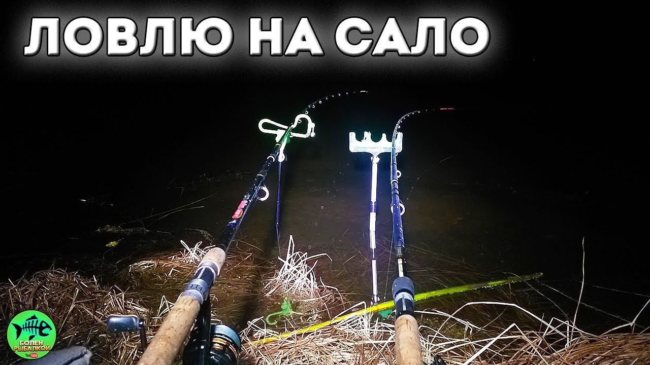 ОБАЛДЕЛ от результата. На САЛО реально клюет. РЫБАЛКА С НОЧЕВКОЙ. Рыбалка на фидер