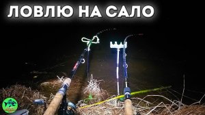 ОБАЛДЕЛ от результата. На САЛО реально клюет. РЫБАЛКА С НОЧЕВКОЙ. Рыбалка на фидер