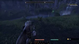 КАК СТАТЬ ОБОРОТНЕМ ● The Elder Scrolls Online