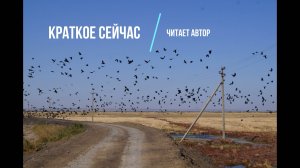 стих: Краткое сейчас. автор: мистер Вихлюн