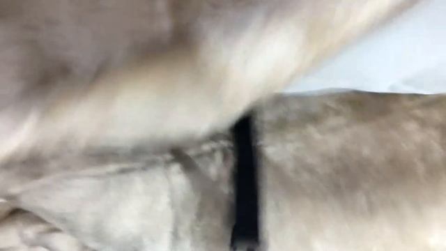 Меховые накидки премиум смотреть онлайн