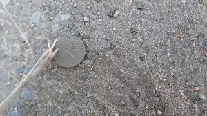 Нашёл 20 копеек 1940-ых годов, СССР. #реконструкция