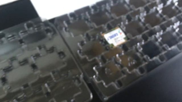 24CTSDSA half msata SSD tray esd (www.memorypack.com.tw) смотреть онлайн