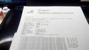 Сброс памперса и его чистка на epson L355