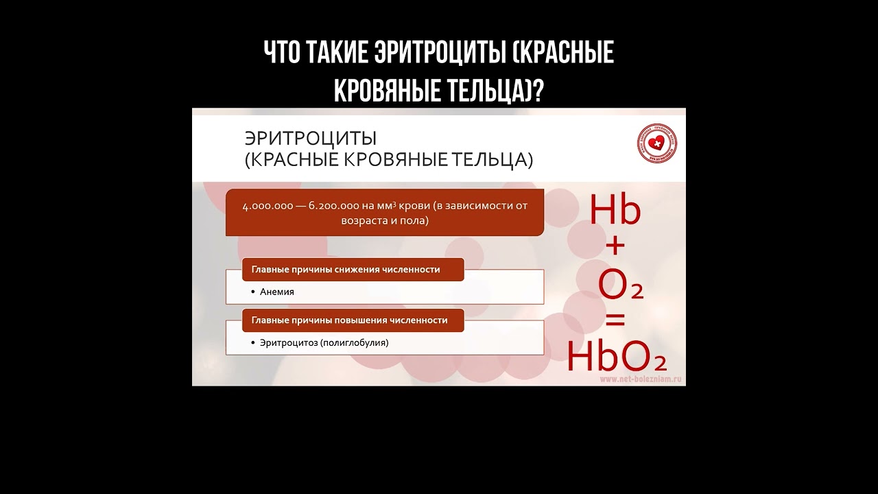 Причины повышения/снижения количества эритроцитов в крови (красных кровяных телец)? смотреть онлайн