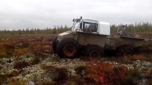 Русский вездеход Беркут-8, на болоте.