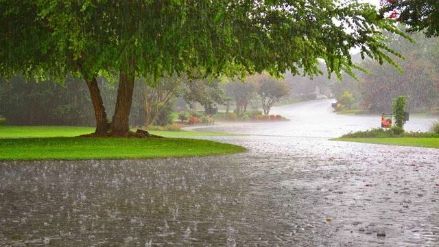 Шум дождя без грома  /Звуки природы ливень / Rain sounds for sleeping
