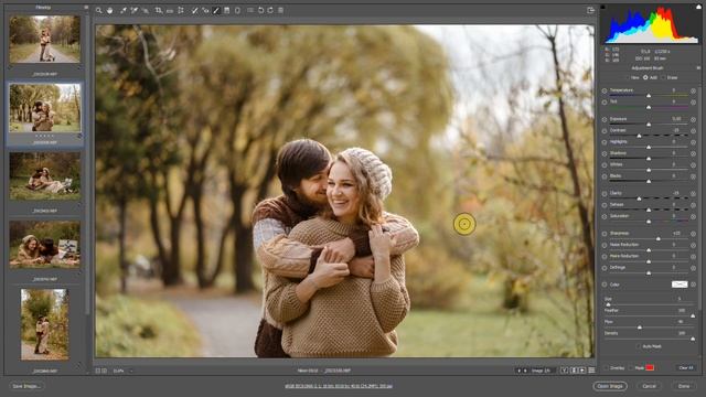 Урок 7. Обработка осенних фото. Часть 2 смотреть онлайн