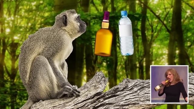 Странные и Необычные Повадки Животных