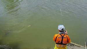 Ловля щуки на средней реке с Денисом Вихровым - Fishing Today