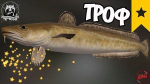 МОЛЬВА ГОЛУБАЯ ТРОФЕЙНАЯ ( ТРОФ ) ⭐ РУССКАЯ РЫБАЛКА 4 | RUSSIAN FISHING 4 @Z-B-G