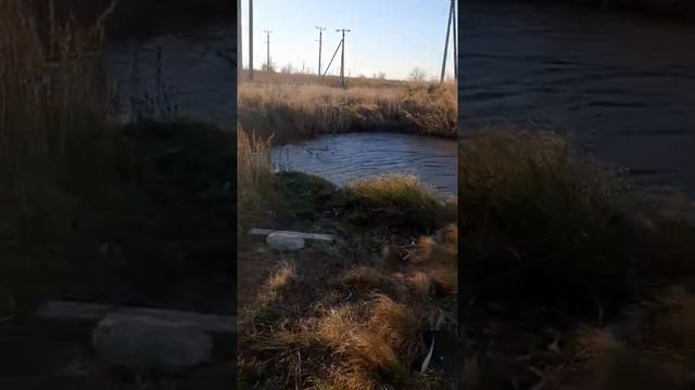 Река 1я Понура, что делается с рекой...