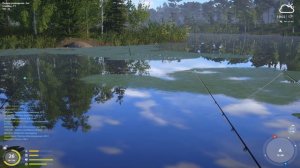 Русская Рыбалка 4 #118 - Старая новая точка. Есть ли Черный Амур?