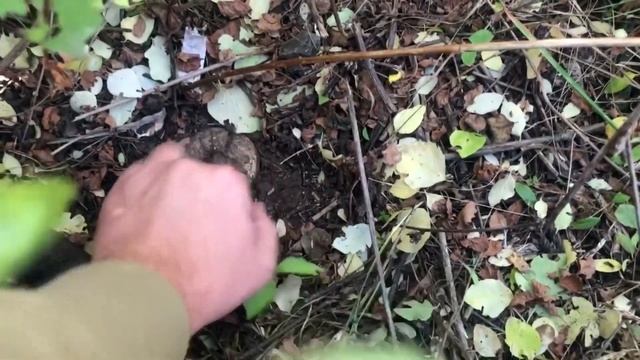 Оборудование кадастрового инженера! Проверяем точность измерений. смотреть онлайн