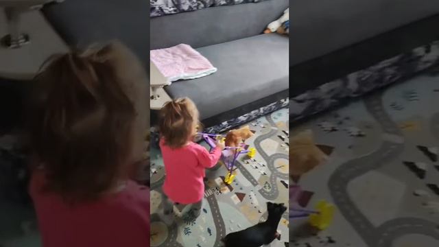 Ведь они правда думают, что это мы у них живем😜! Кот в семье главный😧!