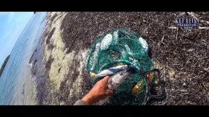 Секреты рыбалки на кефаль! Мои авторские наработки на черноморскую кефаль о том как ловить кефаль